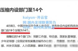 kaiyun·开云官网:国内足球联赛势力对抗，裁判风波频发