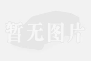 立陶宛排球队夺得半决赛入场券